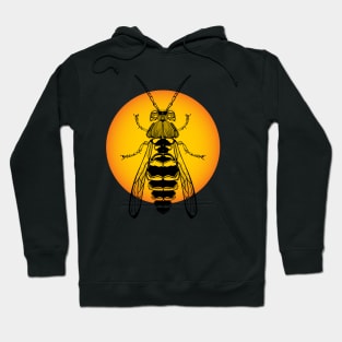 Wasp O Kanaamoo  ᑲᓈᒨ WAWEZHI CANADA Hoodie